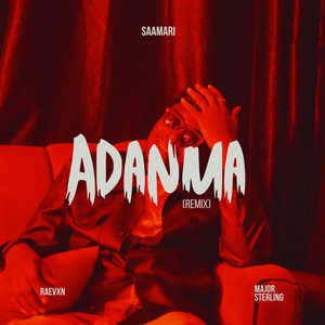 Adanma (Remix) by Saamari, Raevxn