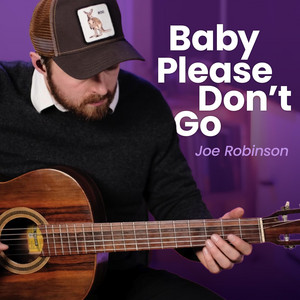 Baby, Please Don't Go by Joe Robinson