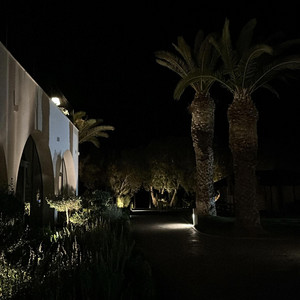 toute la nuit by SENO