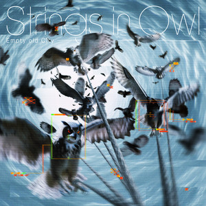 album cover: Strings in Owl