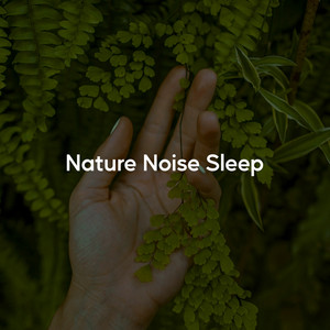 Nature Noise Sleep (Forest Solfeggio Calm)