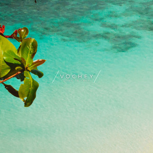 Come to fade by Vochey