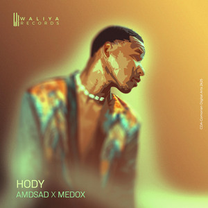 Hody by Amd Sad, Medox Bilwox