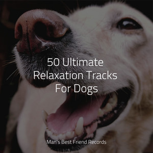 50 Ultimate Relaxation Tracks For Dogs album