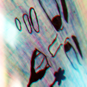 Portada de ONLYBANS