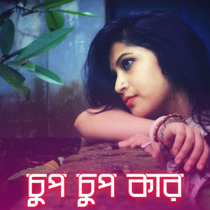 চুপ চুপ কার