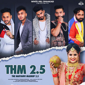 The Haryanvi Mashup 2.5 by Totaram Sondhiya, Baba Bhairupia, Gurmeet Bhadana, Desi King