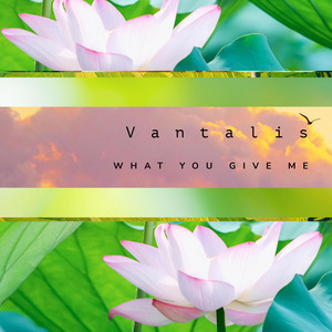 What You Give Me by Vantalis