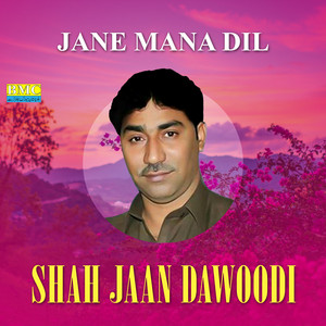 Shah Jaan Dawoodi - Go Man Dosti
