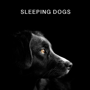 Calming Dog Chillout poster