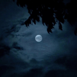 Hunters Moon by Dreamlapse Dimensions
