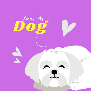 Andy Ms - Dog