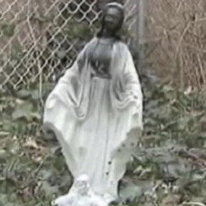 dafanz - cyclonehome