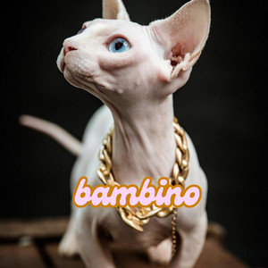 bambino by animal kingdoom