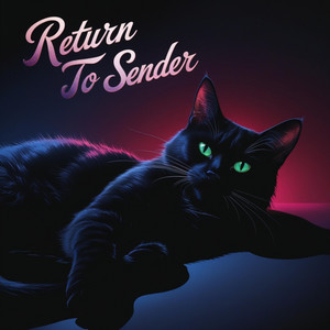 Return To Sender by Algorithm Money, Cat Man 223
