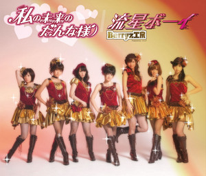 完熟Berryz工房 The Final Completion Box - Album di Berryz工房