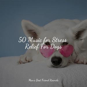 50 Music for Stress Relief For Dogs album