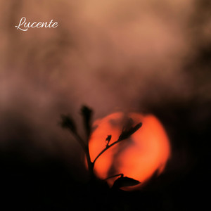 Lucente by Ex Nocte
