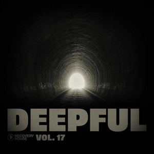 Various Artists — Deepful, Vol. 17 (2026)