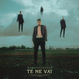 TE NE VAI