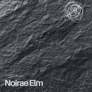 When It Was Light by Noirae Elm