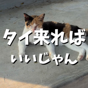 タイ来ればいいじゃん by TAMAZO