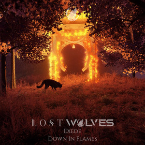 Down In Flames by Lost Wolves, Exede