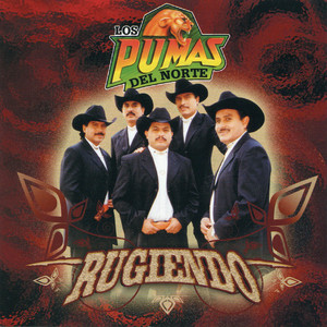 Cuando Te Conoci by Los Pumas Del Norte