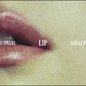 Lip cover