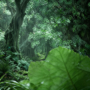 Dennis Kuo - Track in Time (Forest Version)