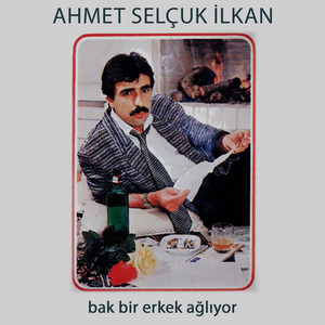Ahmet Selçuk İlkan - Avanak