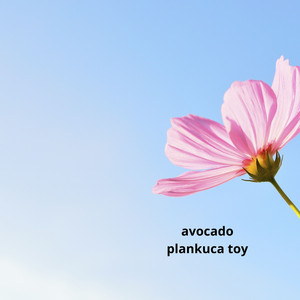 Avocado by plankuca toy