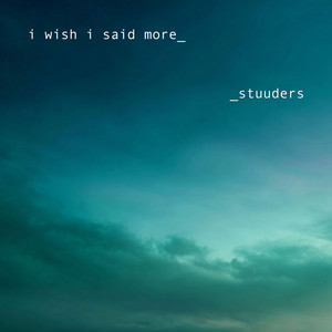 i wish i said more by STUUDERS