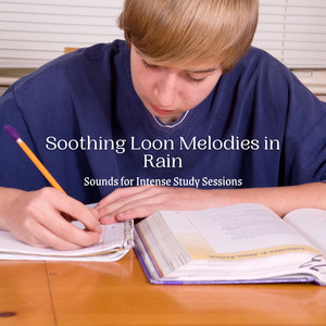 Soothing Loon Melodies in Rain: Sounds for Intense Study Sessions album