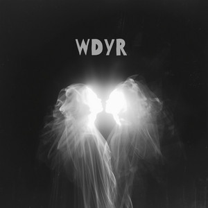 WDYR (Why Do You Run) by David Drift