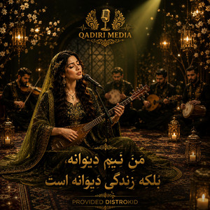 من نیم دیوانه بلکه زندگی دیوانه است by Qadiri Media