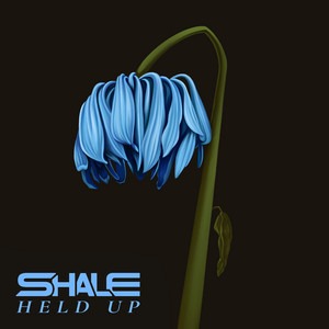 Held Up by Shale