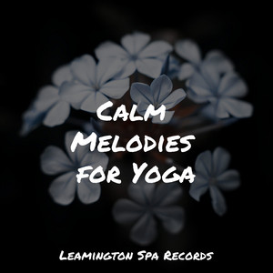 Calm Melodies for Yoga album