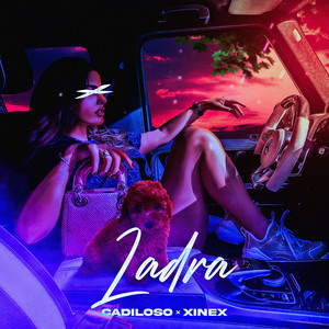 Portada de Ladra