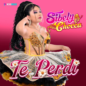 Sibely Chocca - Te Perdí