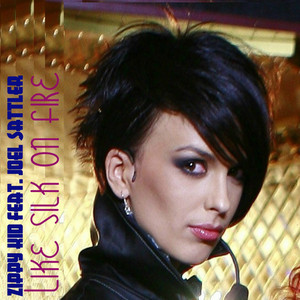 Like Silk On Fire (feat. Joel Sattler)