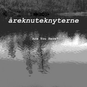 Are You Here? by Åreknuteknyterne