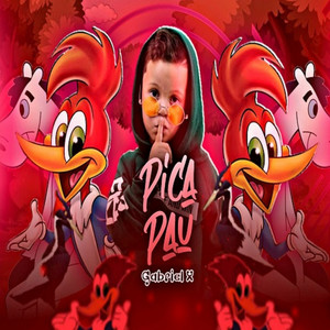 Pica Pau (feat. falcony pro)