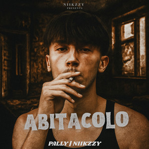Pally & Niikzzy - Abitacolo