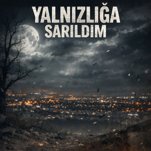 Yalnızlığa Sarıldım