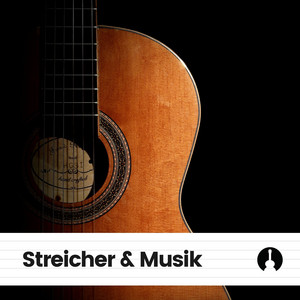 Streicher & Musik