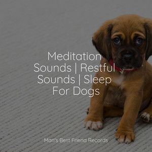 Meditation Sounds | Restful Sounds | Sleep For Dogs album