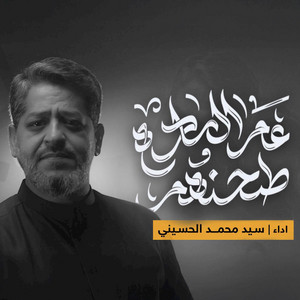 طحنهم عم الساده by سيد محمد الحسيني