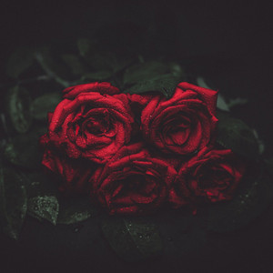 aloneforever