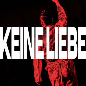 KEINE LIEBE